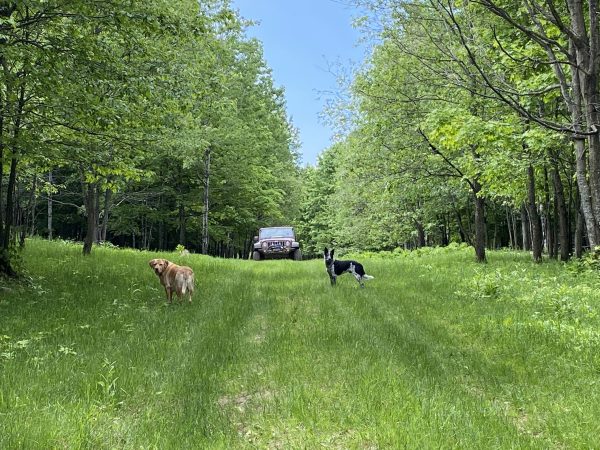 Superior Game Ranch - Upper Michigan - Image 3