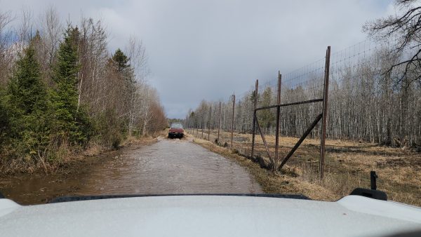 Superior Game Ranch - Upper Michigan - Image 18
