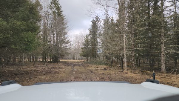 Superior Game Ranch - Upper Michigan - Image 10