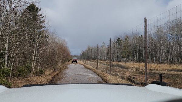 Superior Game Ranch - Upper Michigan - Image 5